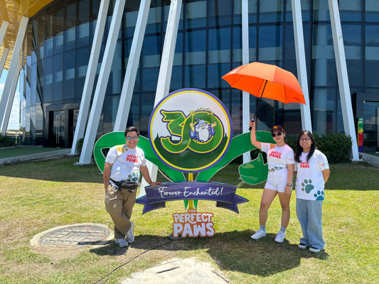 Ogg's Pet Adventure at Enchanted Kingdom: A Magical Day with Our Community