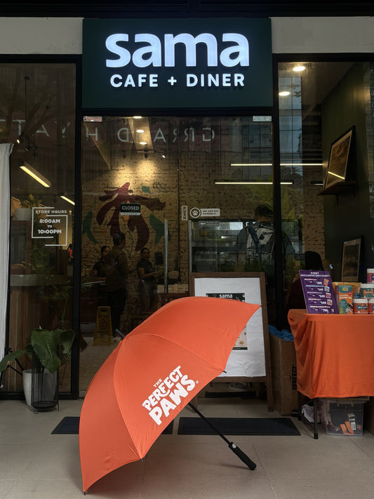 The Perfect Paws at Paws & Plates: A Celebration of Pets, Food, and Fashion