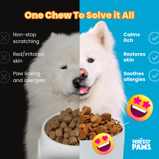 Allergy + Itch Relief (60 Chews)