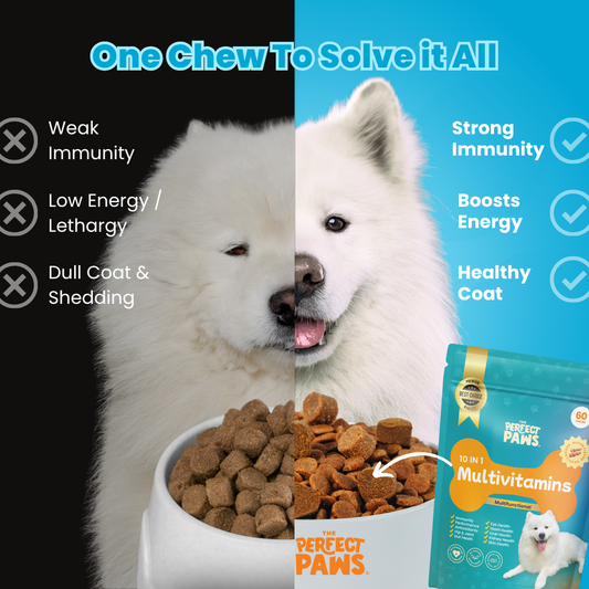 10-in-1 Multivitamin (60 Chews)
