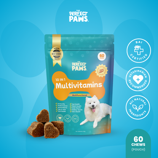 10-in-1 Multivitamin (60 Chews)