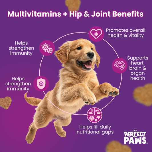 Optimal Joint and Vitality Bundle (120 chews each)