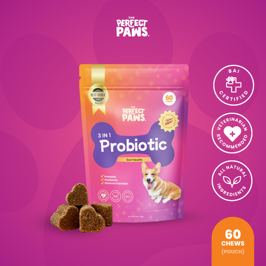3-in-1 Probiotic (60 chews)