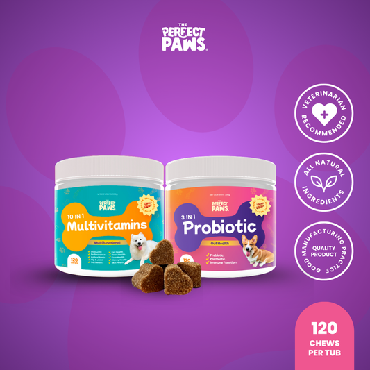 Gut and Immune Booster Set (120 chews each)