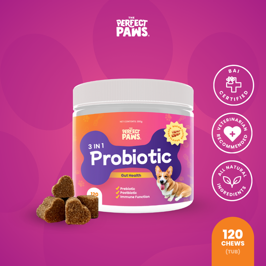 3-in-1 Probiotic (120 chews)
