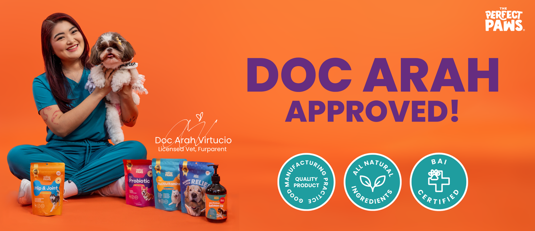 Why Doc Arah Chose The Perfect Paws?