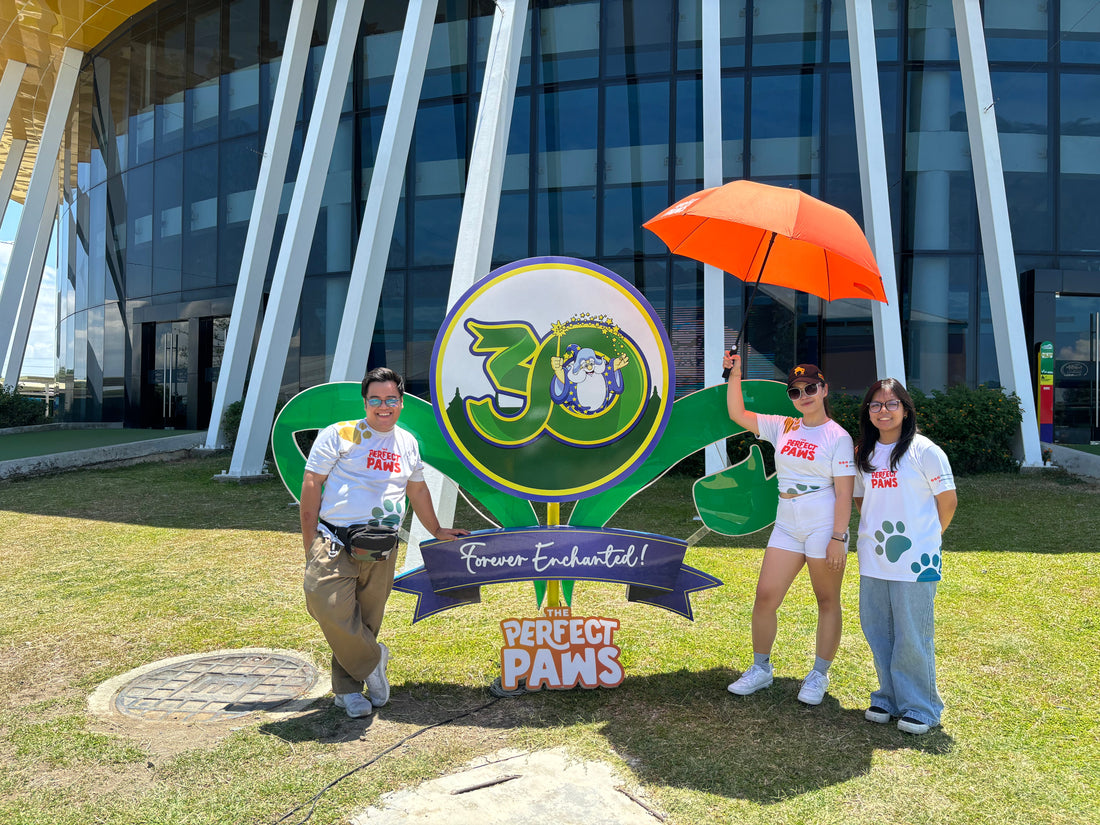 Ogg's Pet Adventure at Enchanted Kingdom: A Magical Day with Our Community