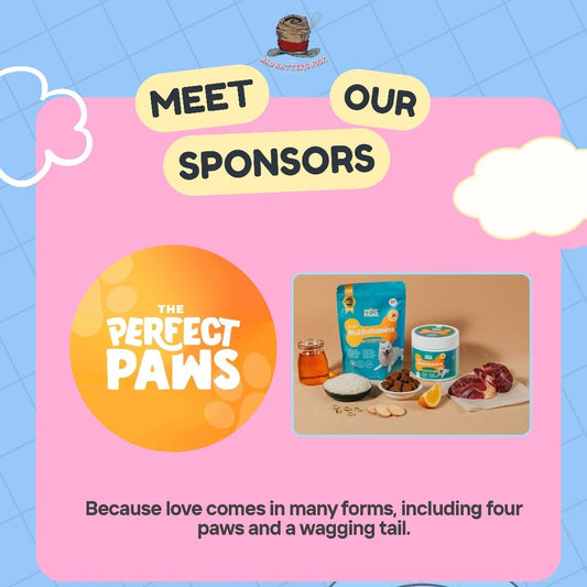When Wellness and Inclusion Meet: The Perfect Paws x Transition Journey Unfiltered