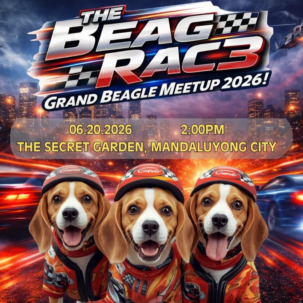 The Beagles are Back in Action: Baltik's Beagle Family The Beag Race 3!