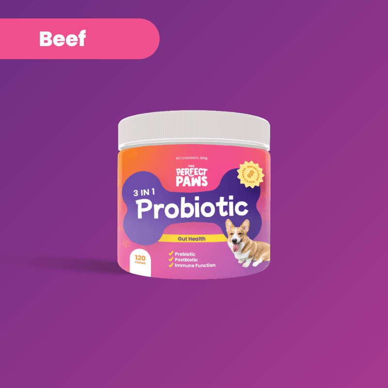 3-in-1 Probiotic (120 chews) - The Perfect Paws