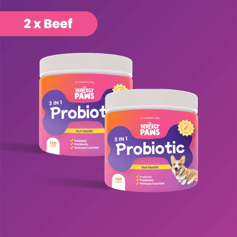 3-in-1 Probiotic (120 chews) - The Perfect Paws