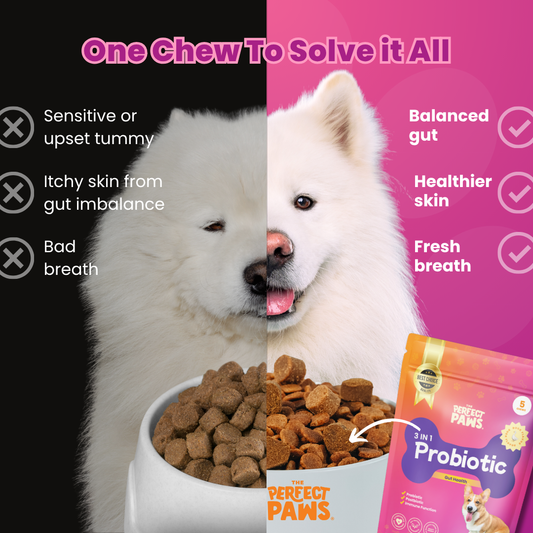 3-in-1 Probiotic (60 chews)
