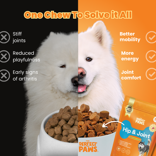 Hip & Joint Relief (60 Chews)
