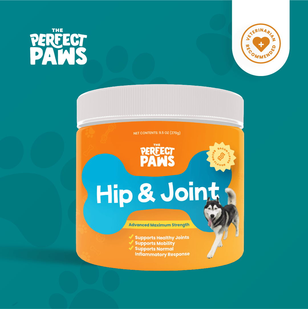 The Perfect Paws Hip & Joint Powerful relief and long-term support for ...