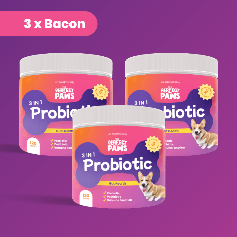 3-in-1 Probiotic (120 chews) - The Perfect Paws