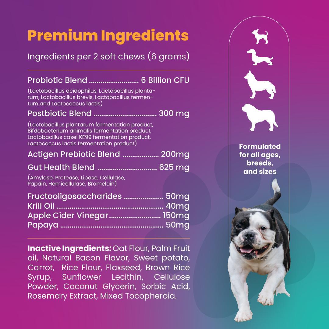 Comprehensive Gut and Skin Care Trial Bundle - The Perfect Paws