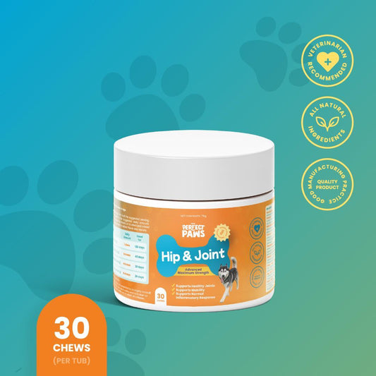 Joint Health and Omega Boost Trial Bundle - The Perfect Paws