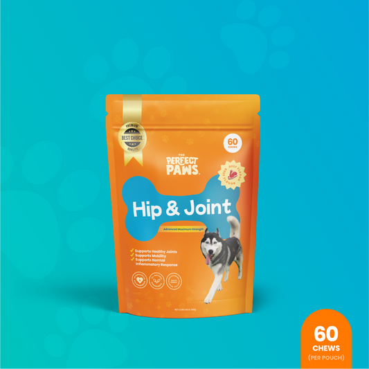 Hip & Joint Relief (60 Chews)