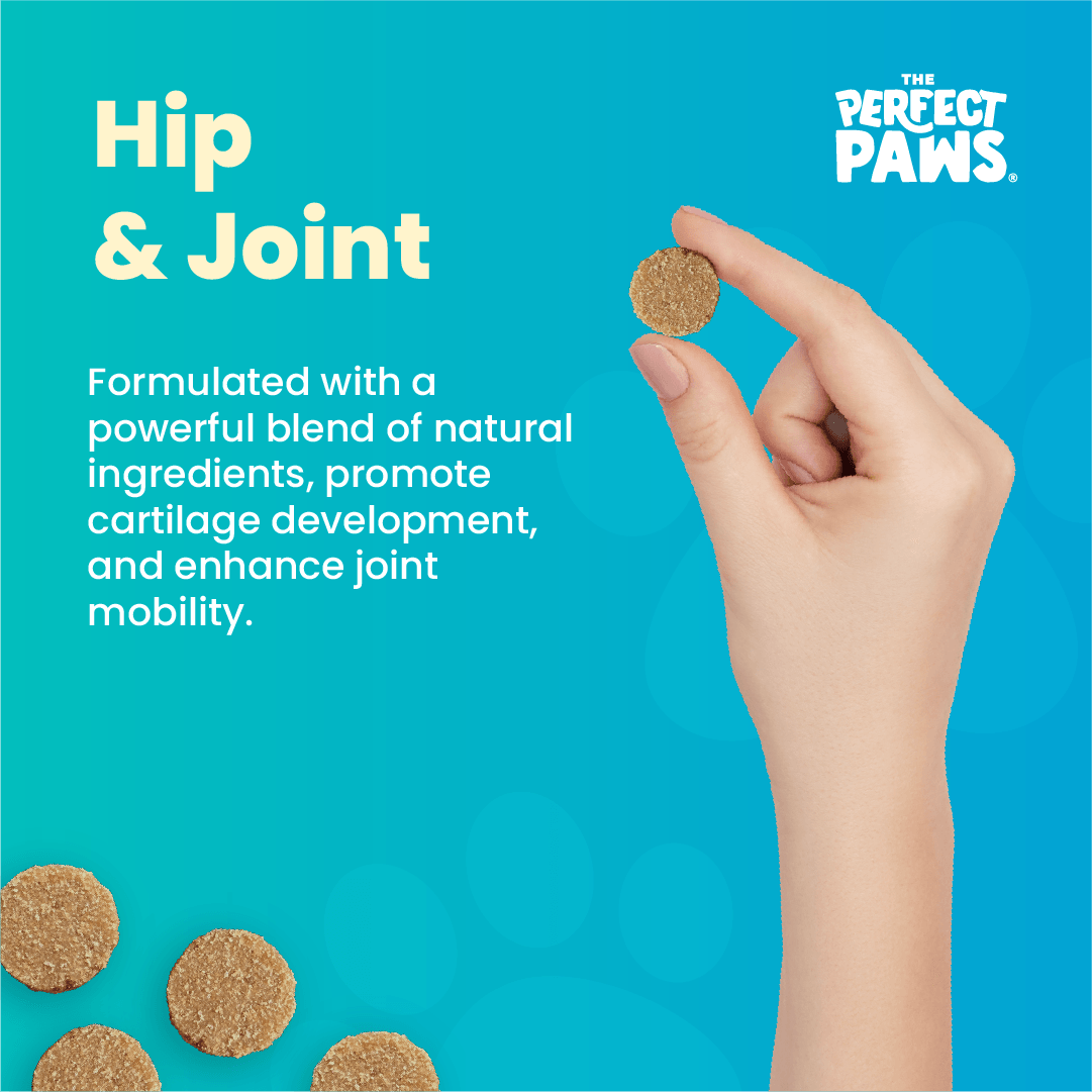 Hip and Joint (120 chews) - The Perfect Paws