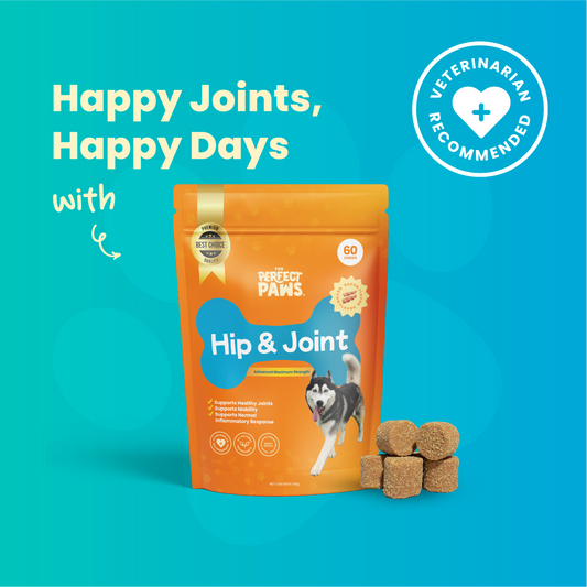 Hip & Joint Relief (60 Chews)