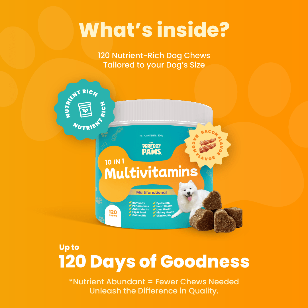 10-in-1 Multivitamin (120 chews) - The Perfect Paws