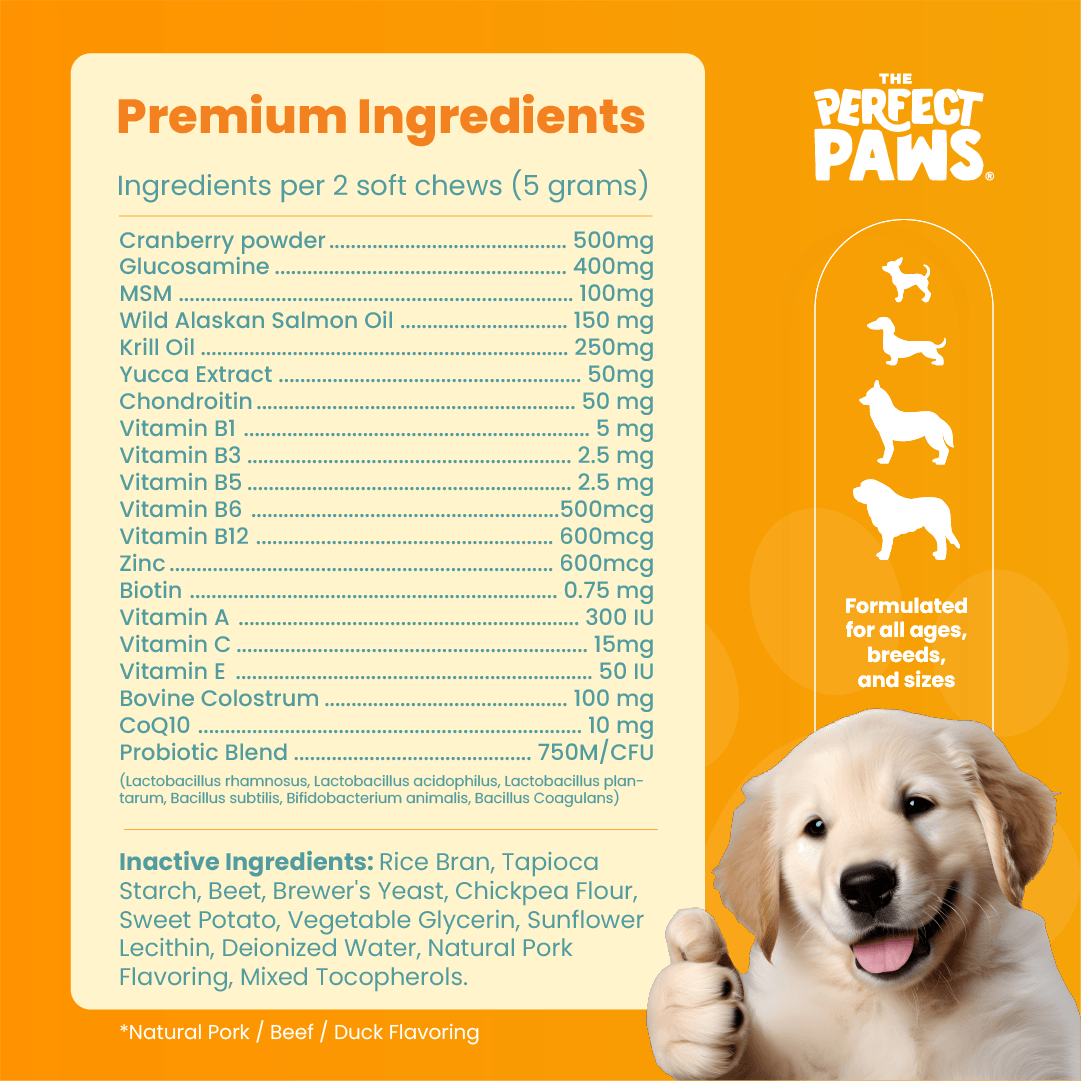 10-in-1 Multivitamin (30 chews) - The Perfect Paws