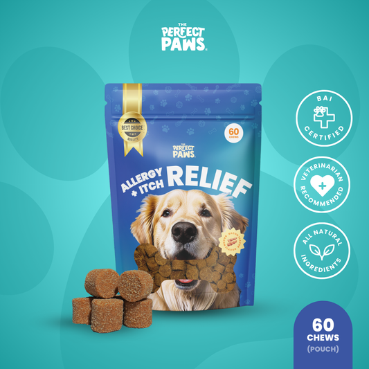Allergy + Itch Relief (60 Chews)