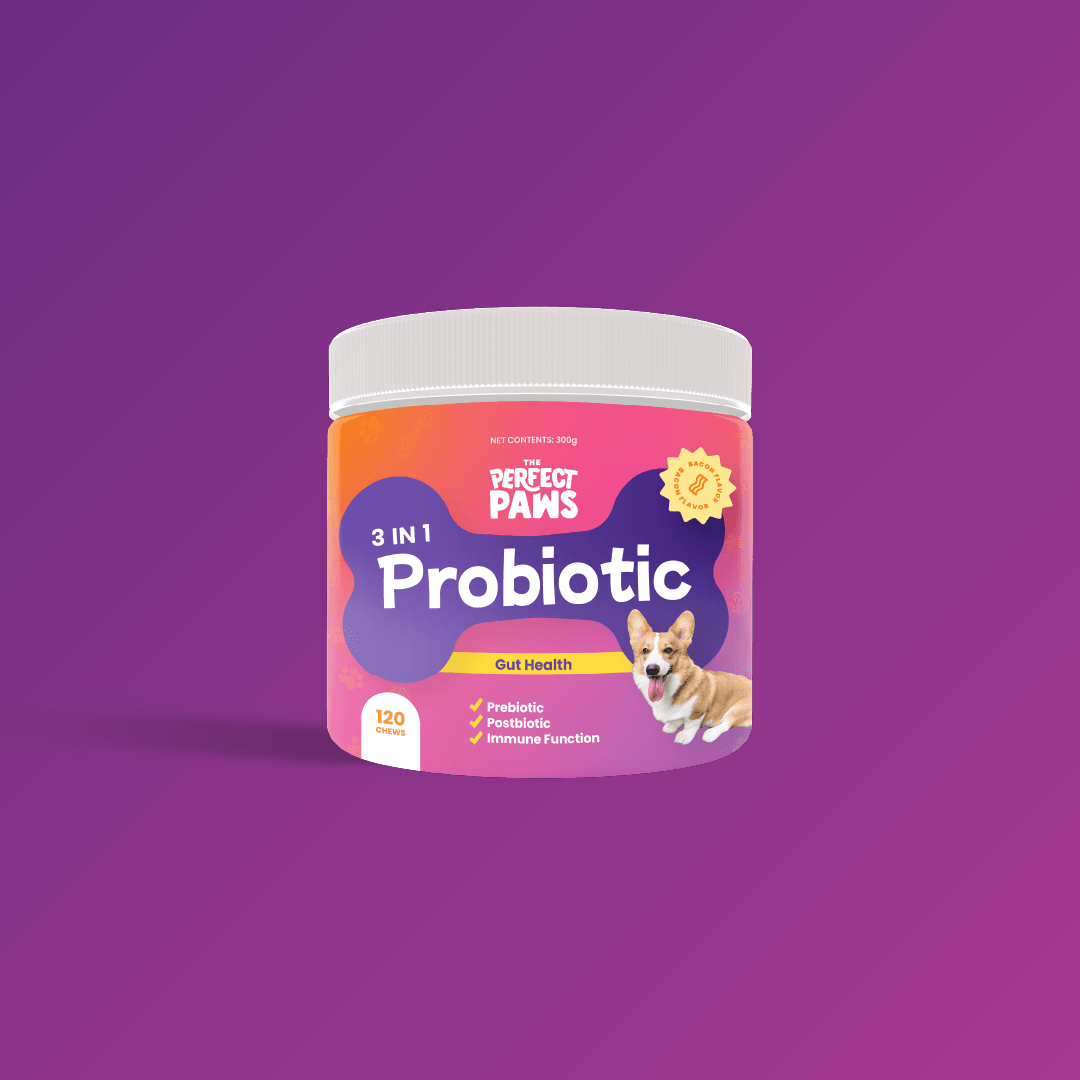 3-in-1 Probiotic (120 chews) - The Perfect Paws