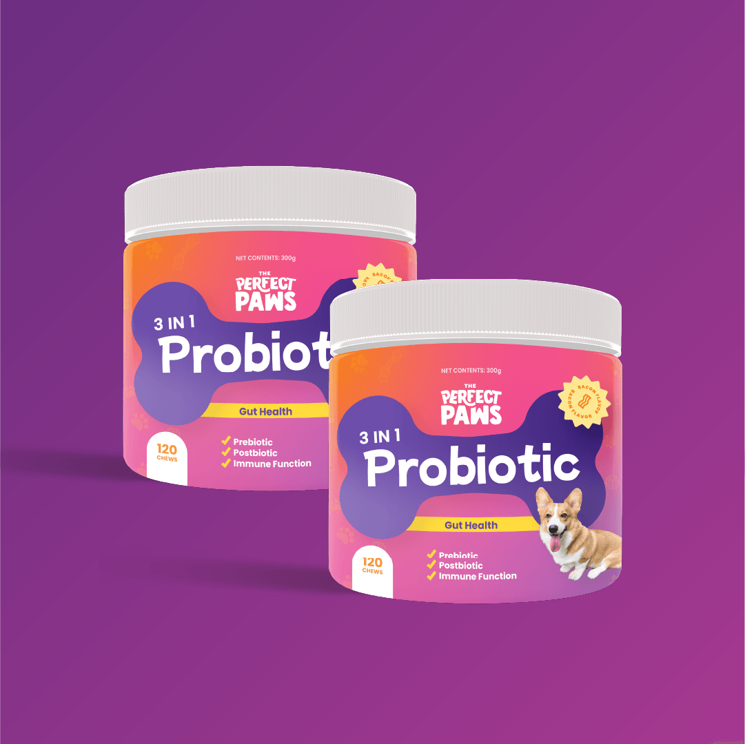 3-in-1 Probiotic (120 chews) - The Perfect Paws