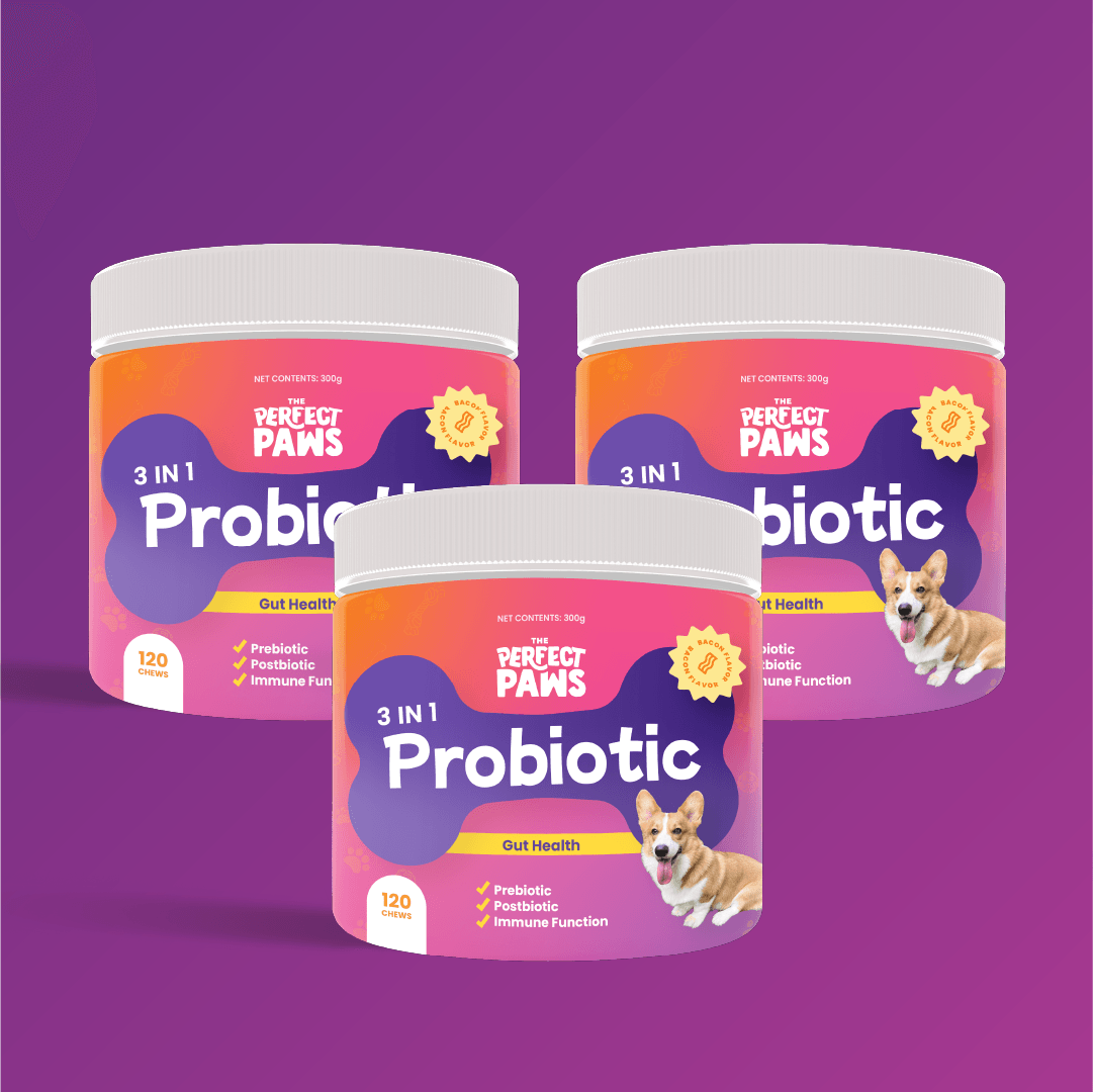 3-in-1 Probiotic (120 chews) - The Perfect Paws