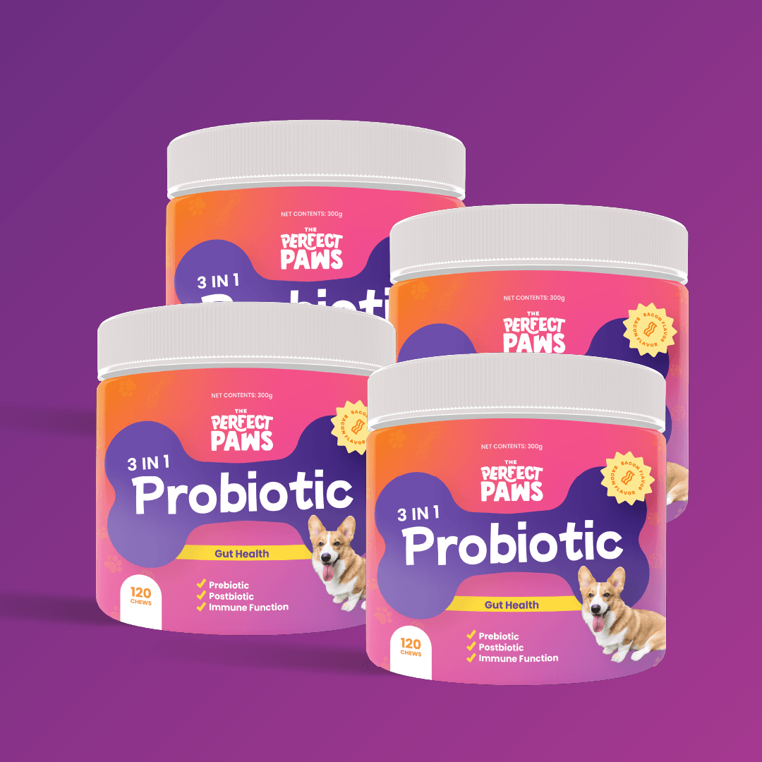 3-in-1 Probiotic (120 chews) - The Perfect Paws