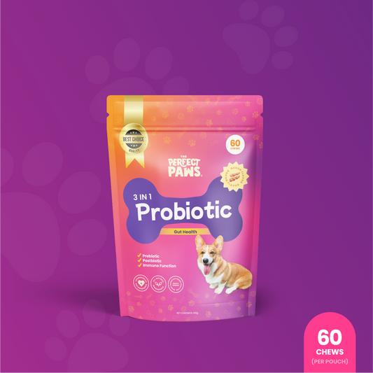 3-in-1 Probiotic (60 chews)