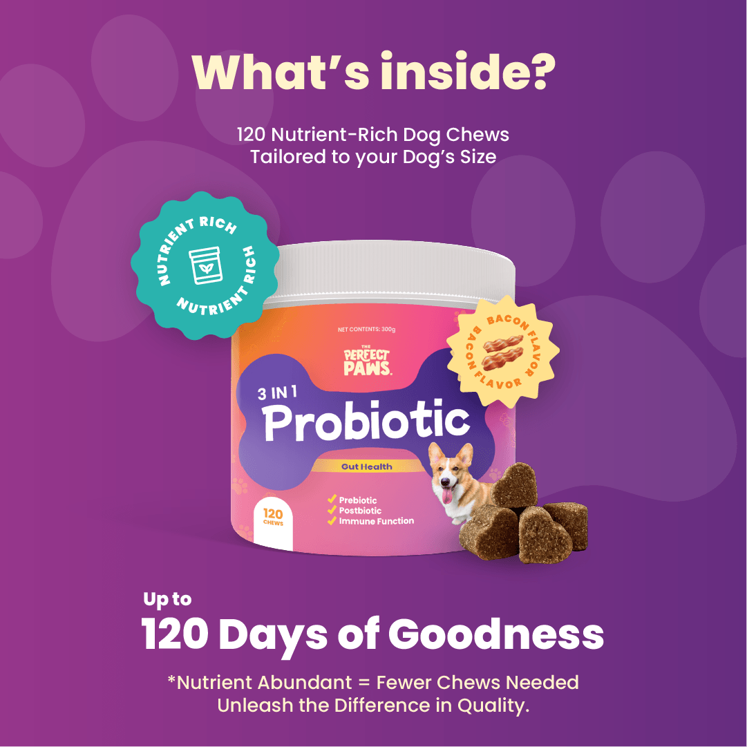 3-in-1 Probiotic (120 chews) - The Perfect Paws