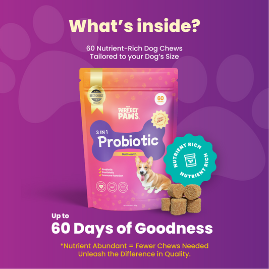 3-in-1 Probiotic (60 chews)