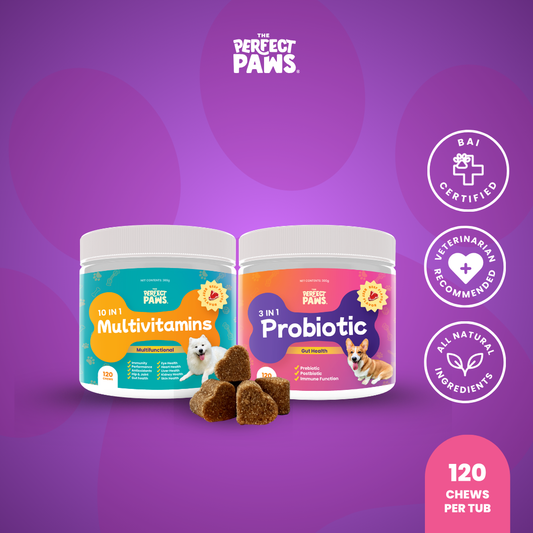 Gut and Immune Booster Set (120 chews each)
