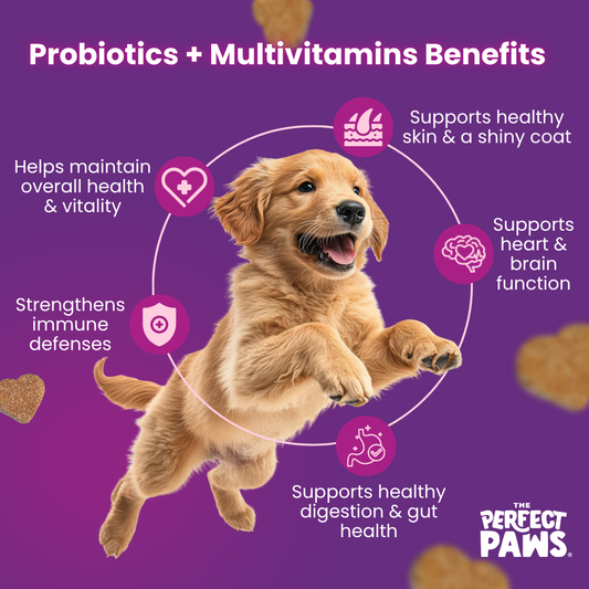 Gut and Immune Booster Set (120 chews each)