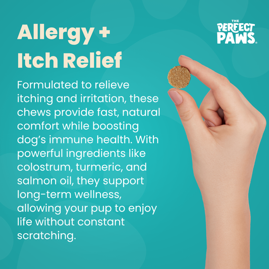 Allergy + Itch Relief (60 Chews)