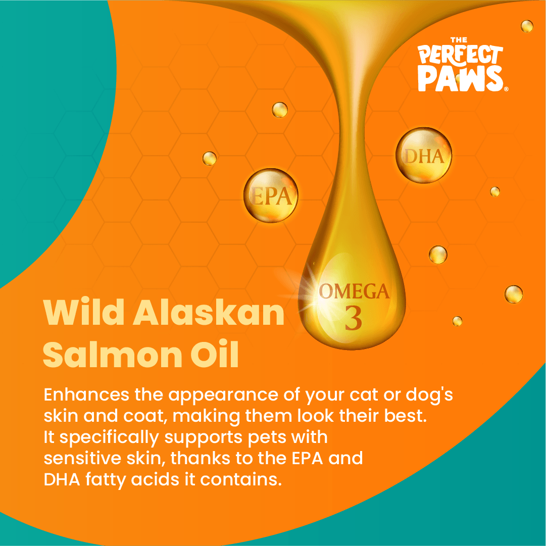 Wild Alaskan Salmon Oil (500ml) - The Perfect Paws