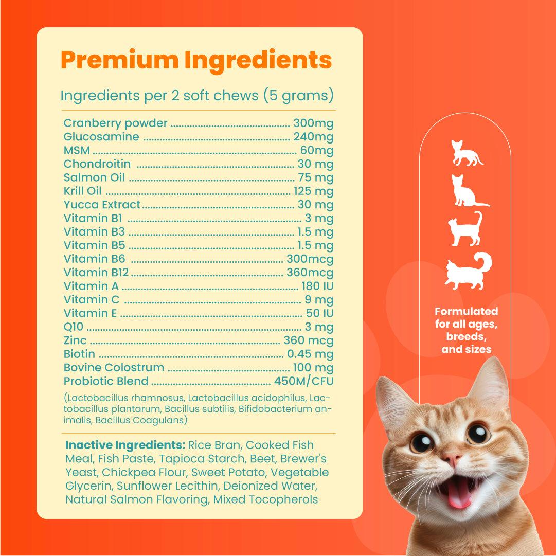 Cat Multivitamins - Support for cats, ensuring overall health and vitality - The Perfect Paws