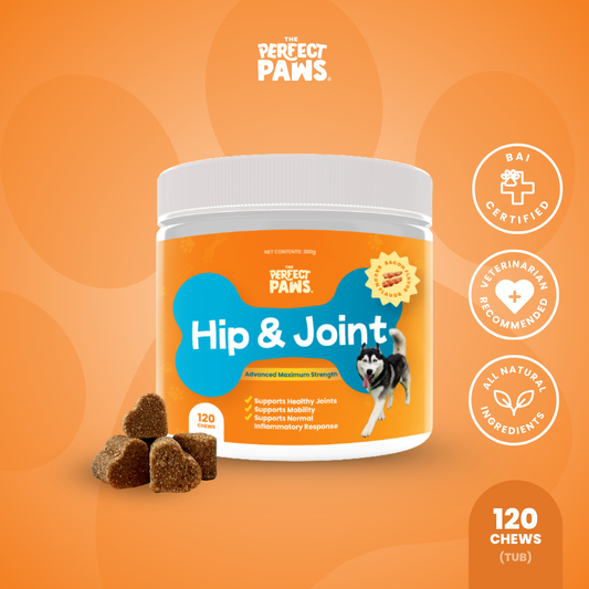 Hip & Joint (120 Chews)