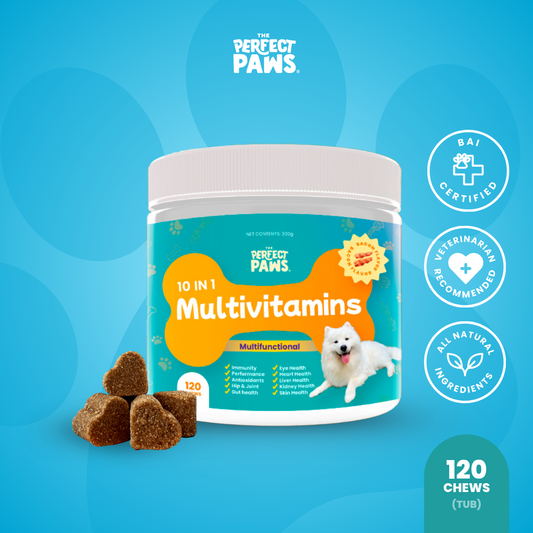 10-in-1 Multivitamin (120 chews)