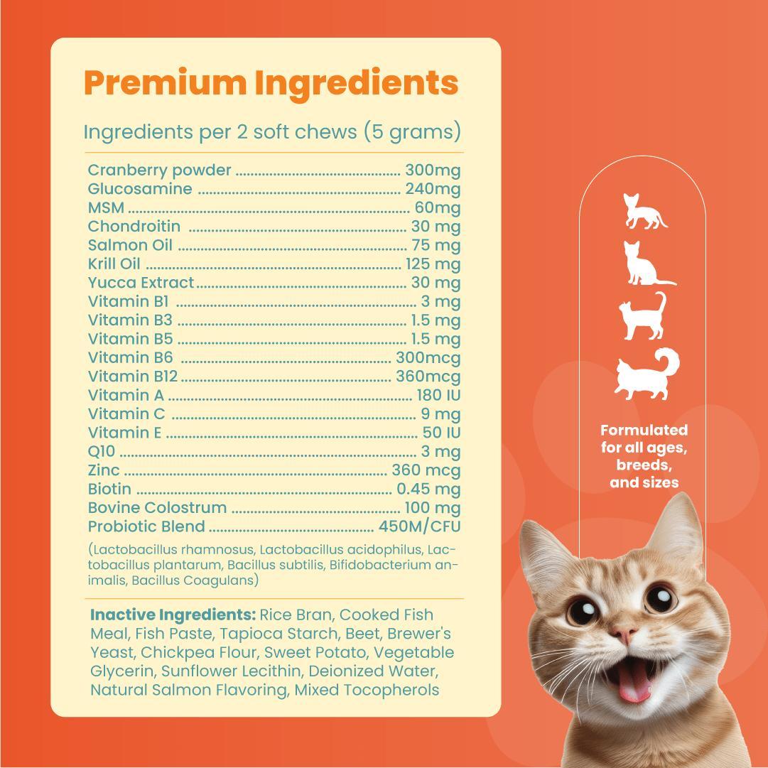 Skin and Coat Care for Cats (100 chews + 200mL) - The Perfect Paws