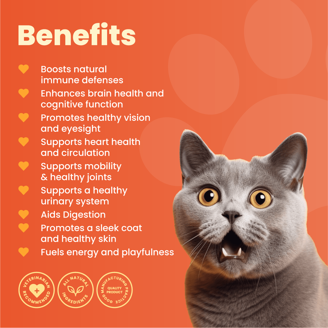 Cat Multivitamins - Support for cats, ensuring overall health and vitality - The Perfect Paws