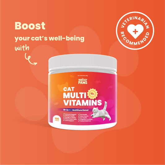 Cat Multivitamins - Support for cats, ensuring overall health and vitality - The Perfect Paws