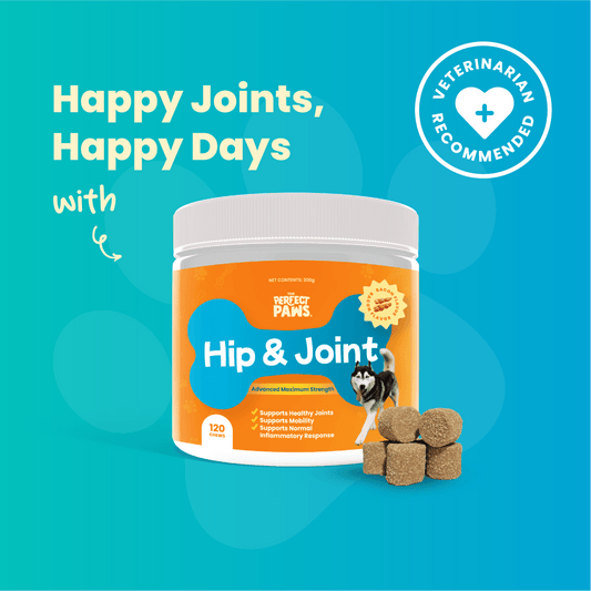 Hip and Joint (120 chews) - The Perfect Paws