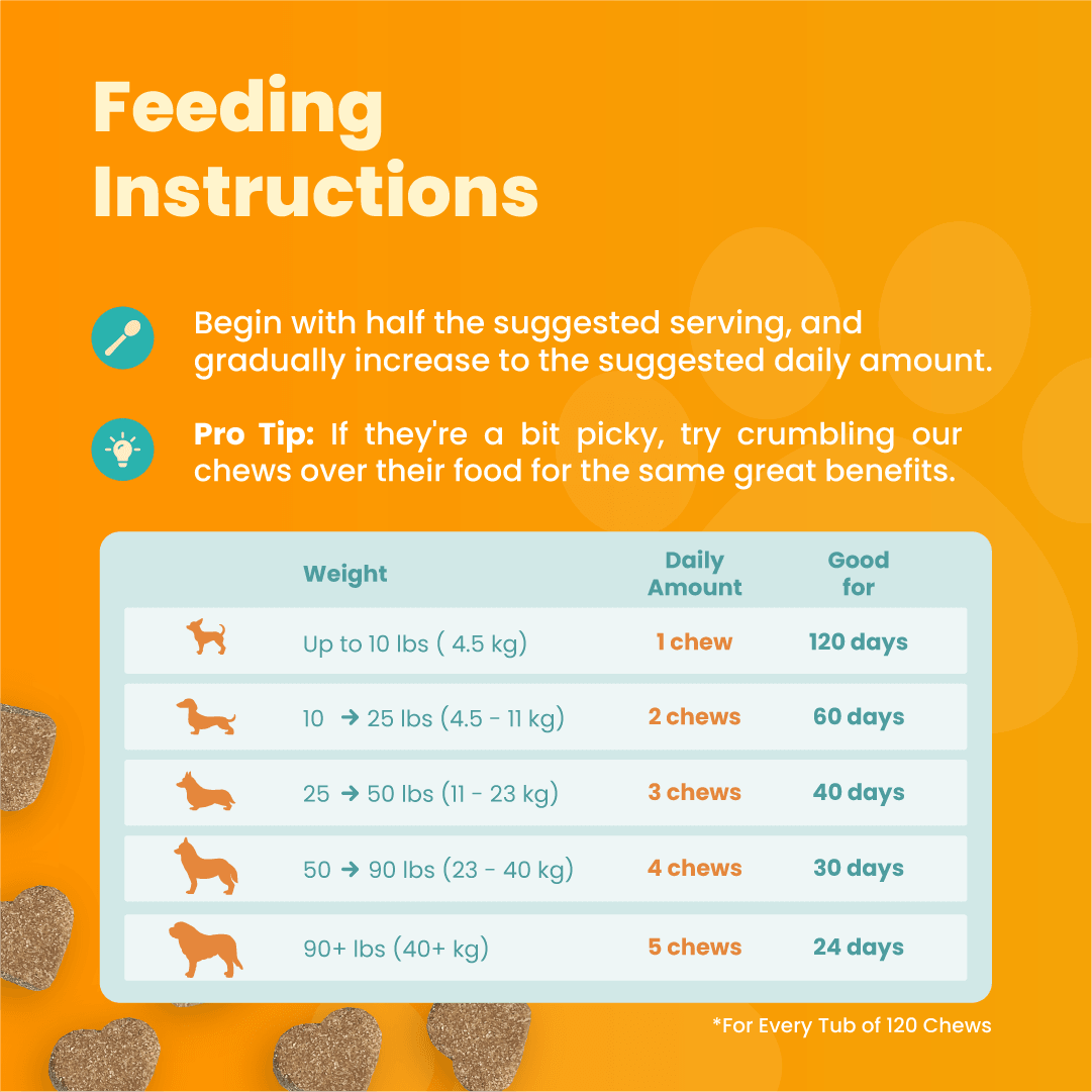 10-in-1 Multivitamin (120 chews) - The Perfect Paws