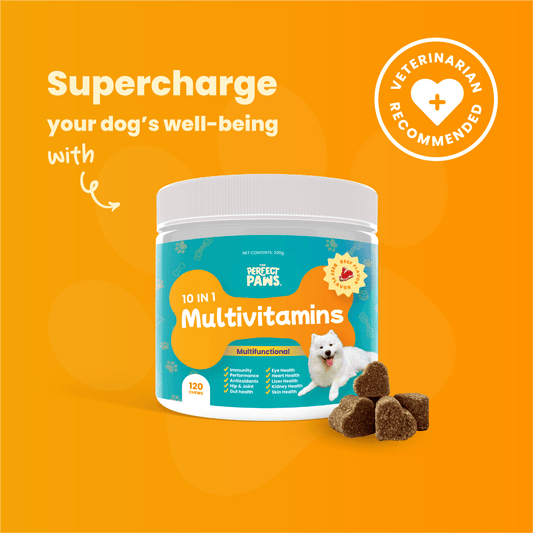 10-in-1 Multivitamin (120 chews) - The Perfect Paws