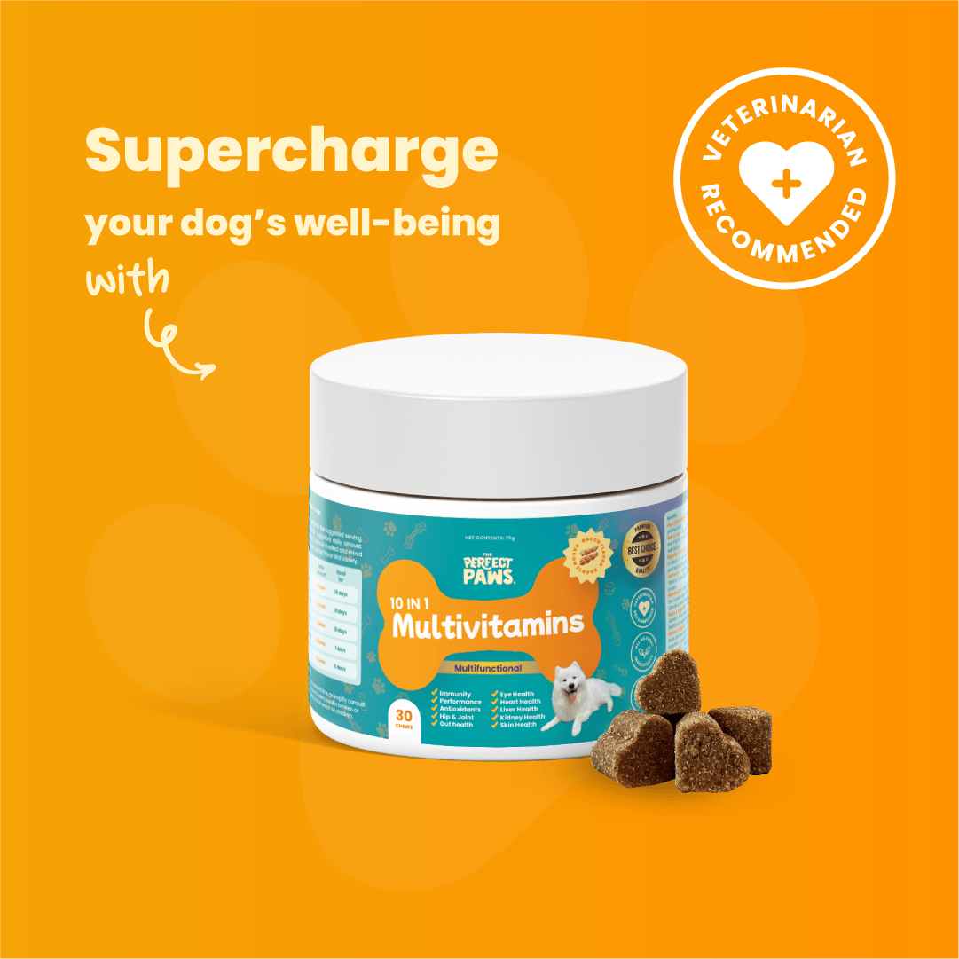 10-in-1 Multivitamin (30 chews) - The Perfect Paws