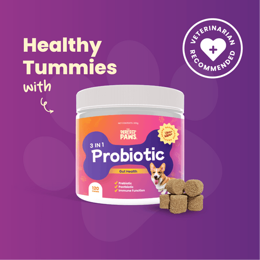 3-in-1 Probiotic (120 chews) - The Perfect Paws