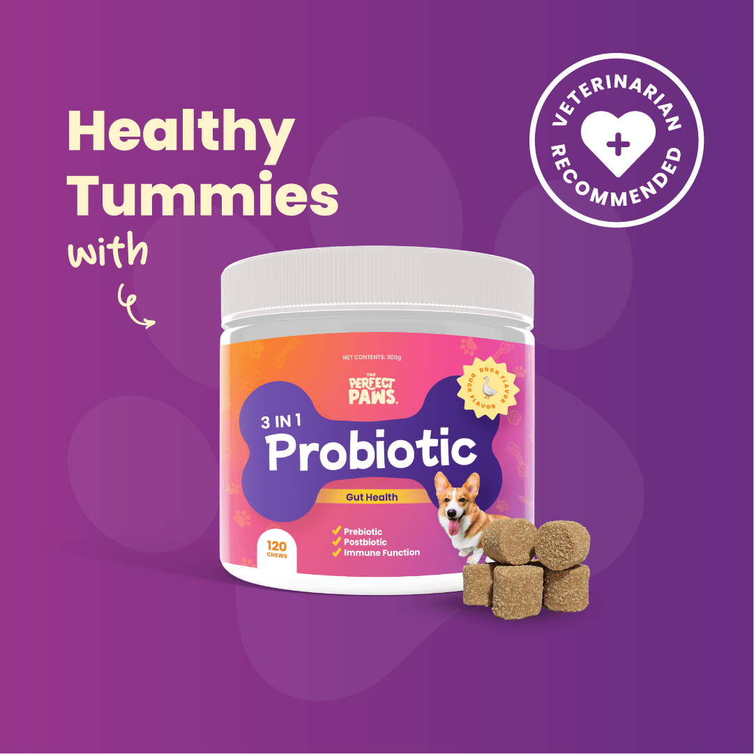 3-in-1 Probiotic (120 chews) - The Perfect Paws